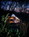 Four Seasons Tented Camp Golden Triangle 